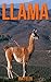Llama by Ina Felix