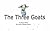 The Three Goats: A Hairy Story by Jane Stadermann