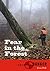 Fear in the Forest (Tales of Danger Series Book 4)