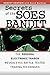 Secrets of the Soes Bandit: Harvey Houtkin Reveals His Battle-Tested Electronic Trading Techniques