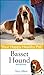 Basset Hound by Terry Albert