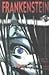 Frankenstein - New Edition