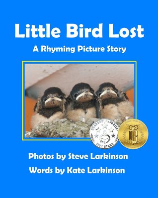 Little Bird Lost: A Rhyming Picture Story