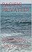 Pacific Privateer by Chris Clearman