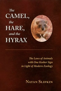 The Camel, The Hare, And The Hyrax: The Laws of Animals with One Kosher Sign in Light of Modern Zoology