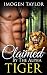 Claimed By The Alpha Tiger