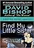 Find My Little Sister (Matt Kile Mystery, #4)