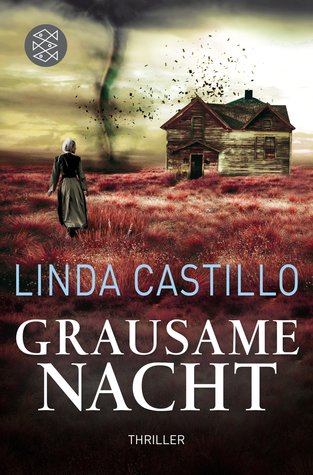 Grausame Nacht (Kate Burkholder #7)