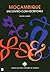 Mocambique: Encontro Com Escritores