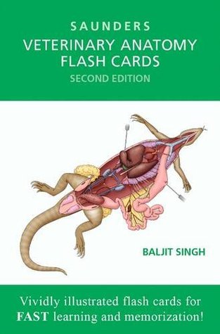 Saunders Veterinary Anatomy Flash Cards (Cards)