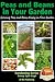 Peas and Beans in Your Garden: Growing Peas and Beans Easily in Your Garden