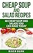 Cheap Soup and Salad Recipes: 40 Cheap Soups and Salads You Can Make Today (Variety Homemade Hot and Cold Stews, Soups, Easy Salads and Healthy Salads)