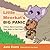 Little Meerkat's Big Panic by Jane Evans