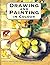 Drawing and Painting in Colour