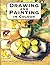Drawing and Painting in Colour