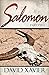 Salomon (Part Two)