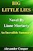 Big Little Lies by Alexander Cooper