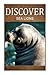 Sea Lion - Discover by Discover Press