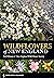 Wildflowers of New England