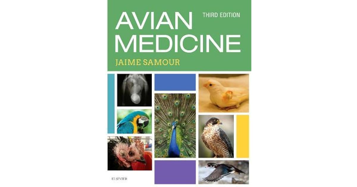 Avian Medicine by Jaime Samour