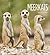 Meerkats (Living Wild)
