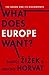 What Does Europe Want?: The Union and Its Discontents (Insurrections: Critical Studies in Religion, Politics, and Culture)
