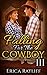 Falling For The Cowboy: 3