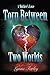Torn between Two Worlds by Lynne Farley Torn between Two Worlds by Lynne Farley