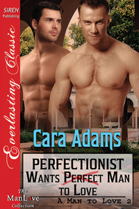 Perfectionist Wants Perfect Man to Love (A Man to Love, #2)
