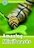Amazing Minibeasts (Oxford Read and Discover)