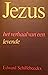 Jezus, het verhaal van een ...