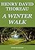 A Winter Walk (Annotated)