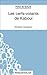 Les cerfs-volants de Kaboul - Khaled Hosseini (Fiche de lecture): Analyse complète de l'oeuvre (FICHES DE LECTURE) (French Edition)
