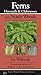 Ferns & Allies of the North Woods by Joe Walewski