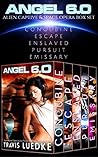 Angel 6.0 (The Bo...