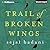 Trail of Broken Wings