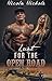 Lust For The Open Road: Bikers, girls, and hot times (Biker Erotica)