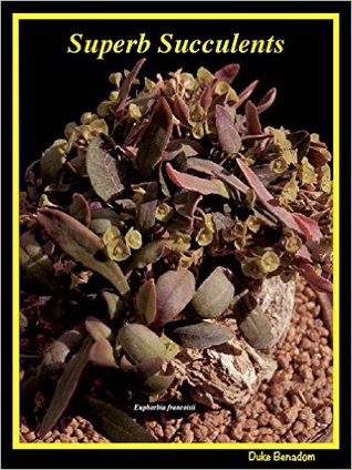 Superb Succulents