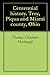 Centennial history. Troy, Piqua and Miami county, Ohio