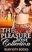 The Pleasure Zone Collection (7 Stories)