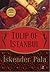 Tulip of Istanbul