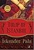 Tulip of Istanbul