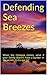 Defending Sea Breezes by Douglas Thornblom