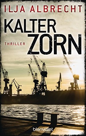 Kalter Zorn (Paperback)