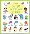 My First Word Book in Irish by Felicity Brooks