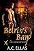 Betrin's Band (The Dark Servant, #31)