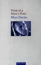 Print of a Hare's Foot (Paperback)