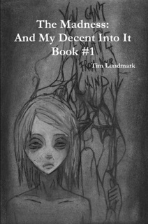 The Madness: And My Decent Into It (Book, # 1)