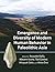 Emergence and Diversity of Modern Human Behavior in Paleolithic Asia (Peopling of the Americas Publications)