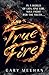 True Fire (The True Trilogy Book 1)